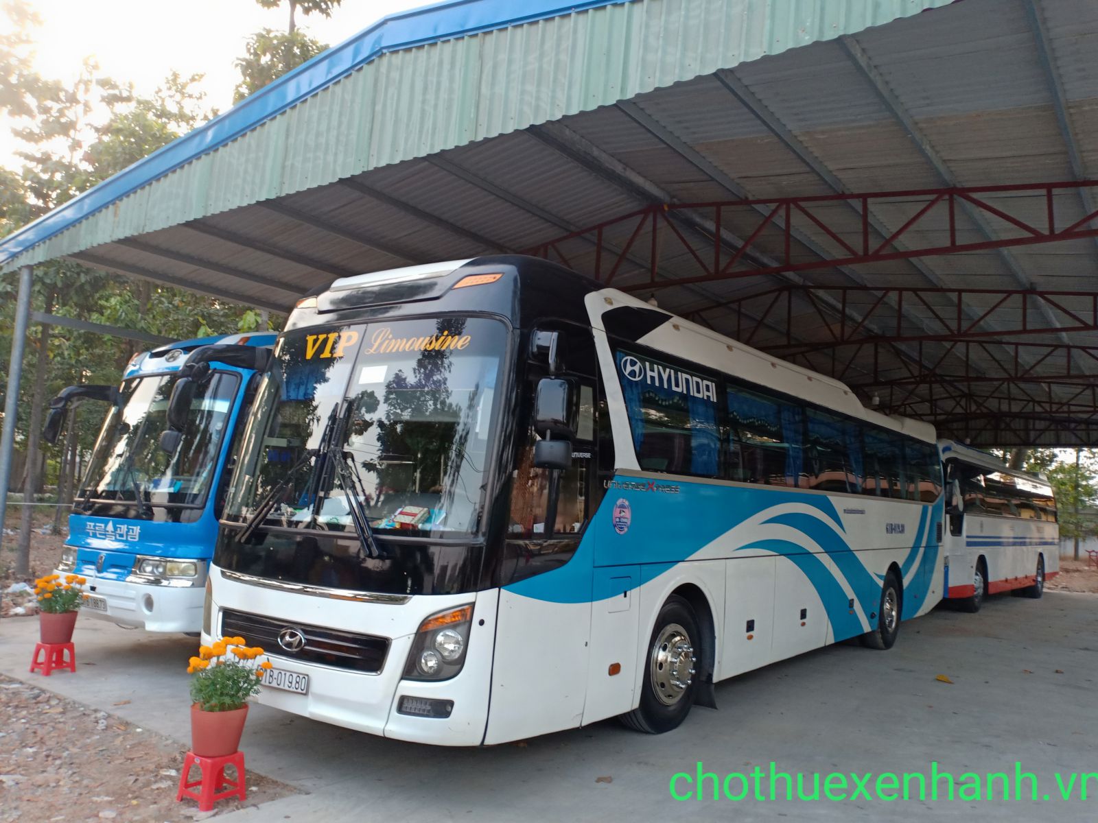 cho thue xe 45 cho 